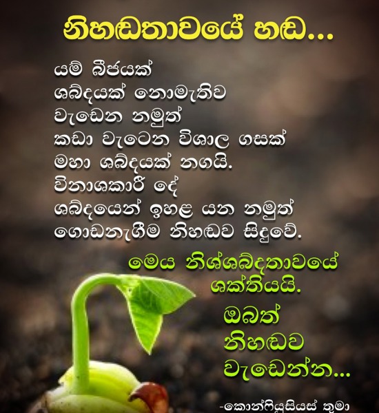 Subodha Dhamma 06